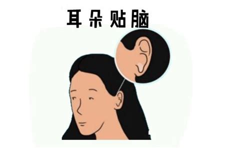 耳朵貼腦女人|【面相觀人】看看耳朵就知道！你是否聰明過人、長壽且富貴？